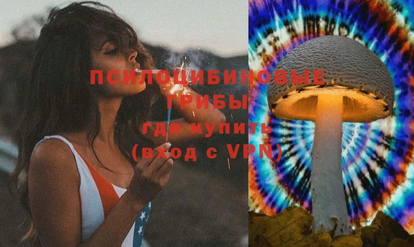 спиды Арсеньев