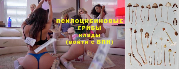 спиды Арсеньев