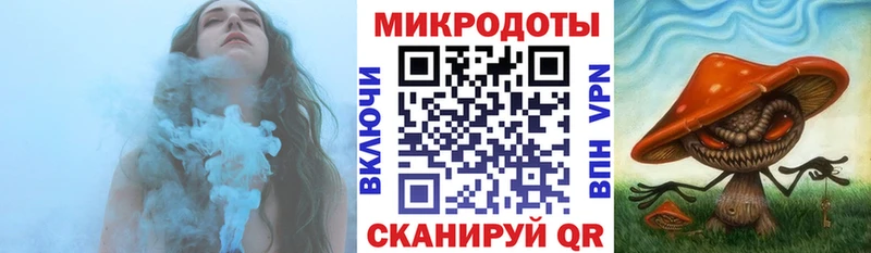 Псилоцибиновые грибы мицелий Пошехонье
