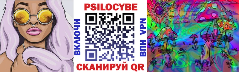 купить закладку  Пошехонье  Галлюциногенные грибы Psilocybine cubensis 